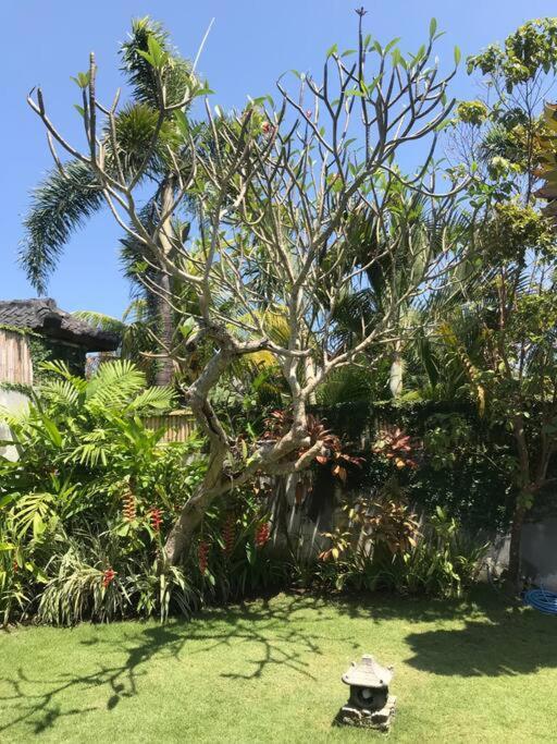 Desa Naga Villa Canggu Buitenkant foto
